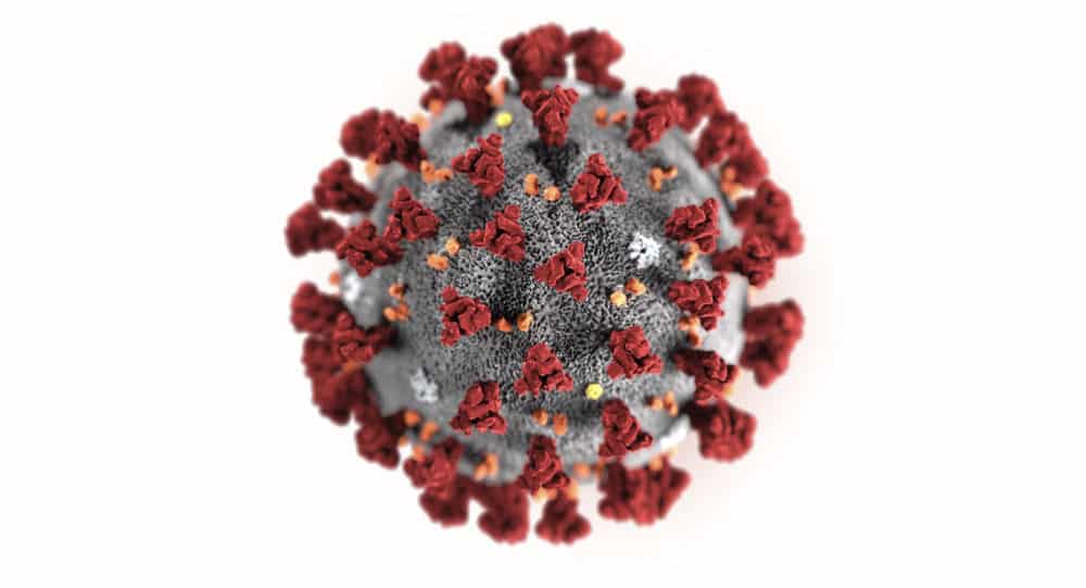 Un labo lyonnais pourrait trouver assez rapidement un traitement contre le coronavirus