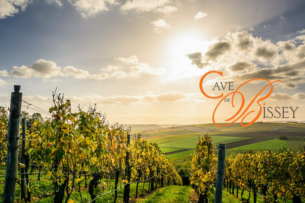 A découvrir cet automne : le Santenay de la Cave de Bissey