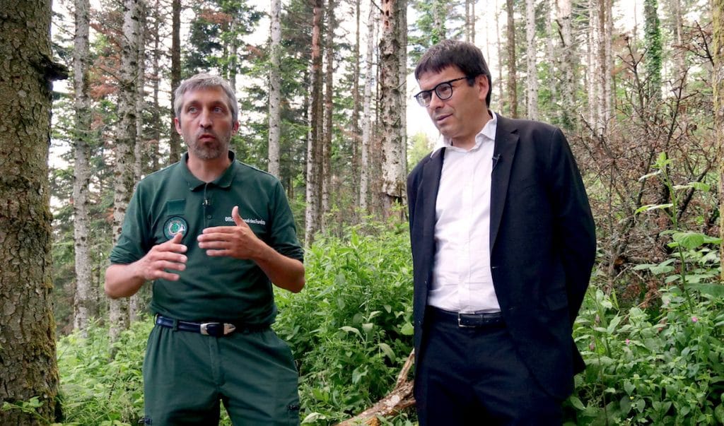 C02-L’aéroport de Lyon-Saint Exupéry table sur une multiplication de plantations d’arbres pour atteindre l’objectif de “0 émission nette”  en 2026