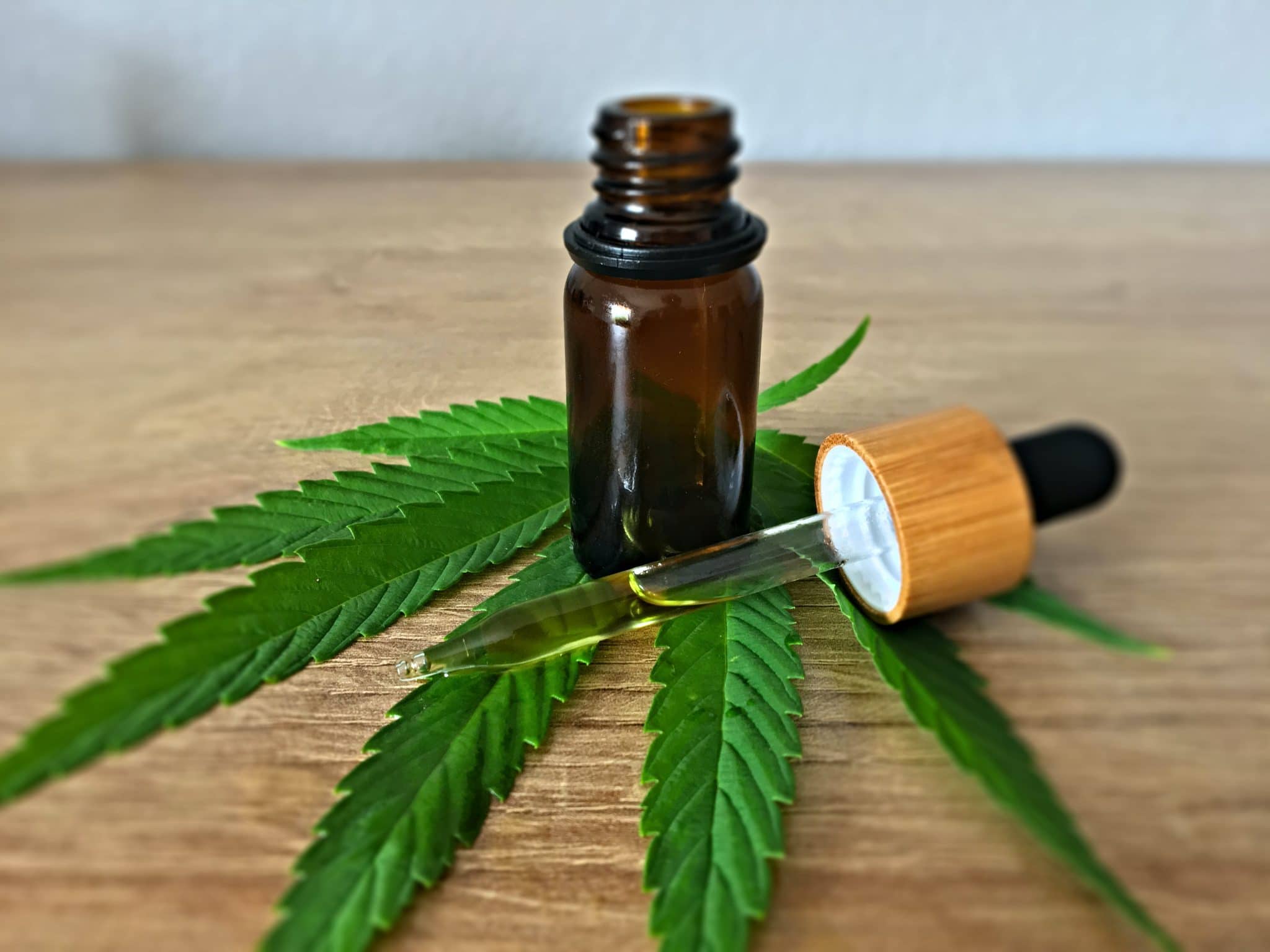 Chanvre (cannabis médical) : bienfaits et utilisations