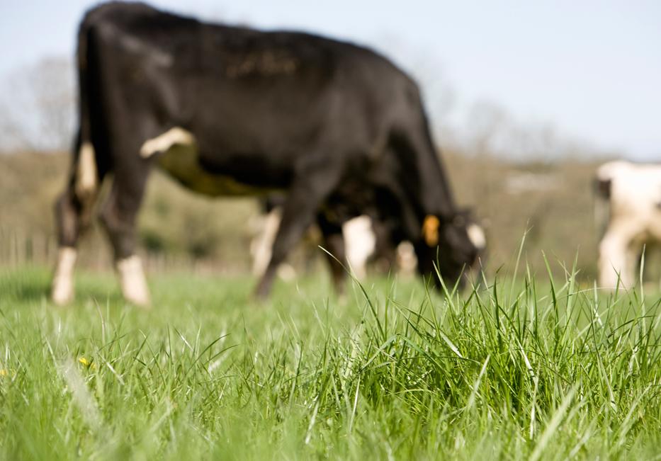 Pénurie et inflation : la coopération agricole d’Auvergne-Rhône-Alpes tire la sonnette d’alarme