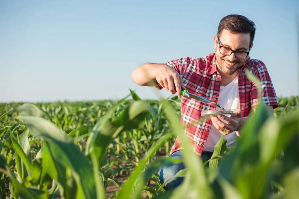 formation développement durable