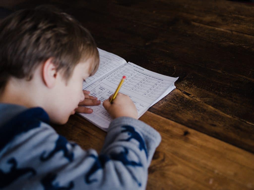 réussite scolaire le bon binome organisme de formation cours particuliers