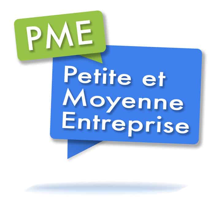 Est il Obligatoire D avoir Un CSE Pour Une PME