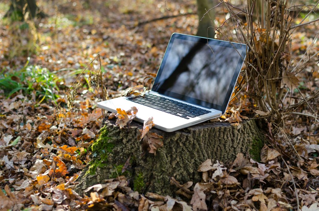 ordinateur posé sur une buche en forêt évoquant les indicateurs environnementaux BDESE