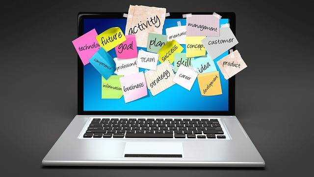 Curriculum vitae