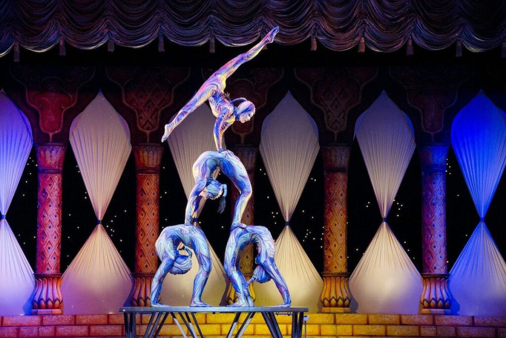La Métropole lyonnaise lance son  projet de « Cité Internationale des Arts du Cirque » : elle sera construite au Grand Parilly,  à Vénissieux