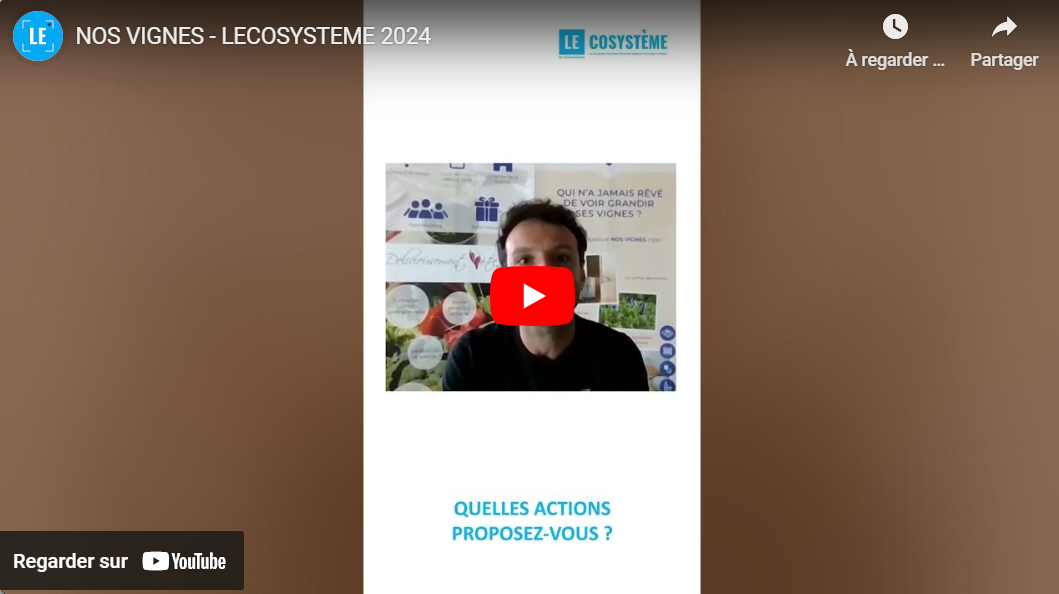 Nos Vignes par Pierre Chartier | LEcosystème, LE Salon 2024
