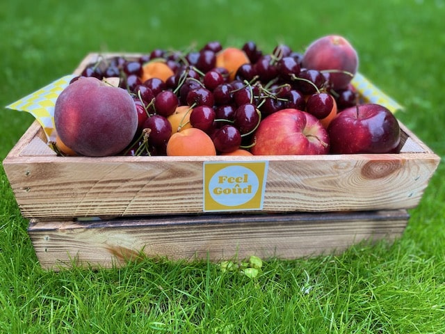Feel Goûd : À Lyon, le bien-être en entreprise passe aussi par l’assiette