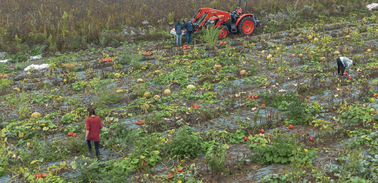lyon entreprises espace agricole vaulx en velin