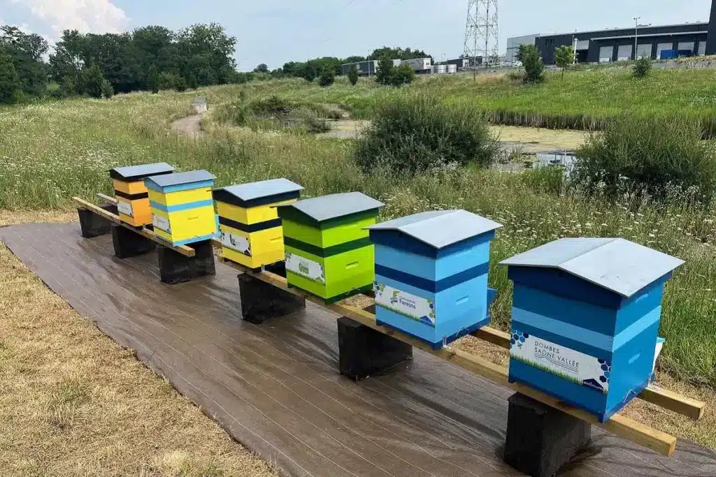 lyon entreprises izigreen
