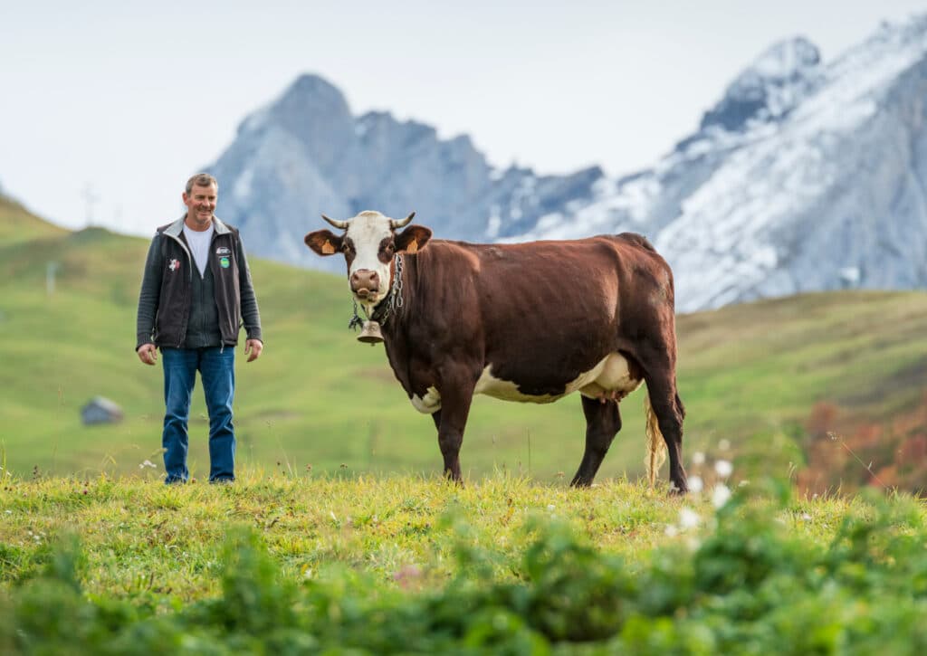 lyon entreprises ménages agricoles