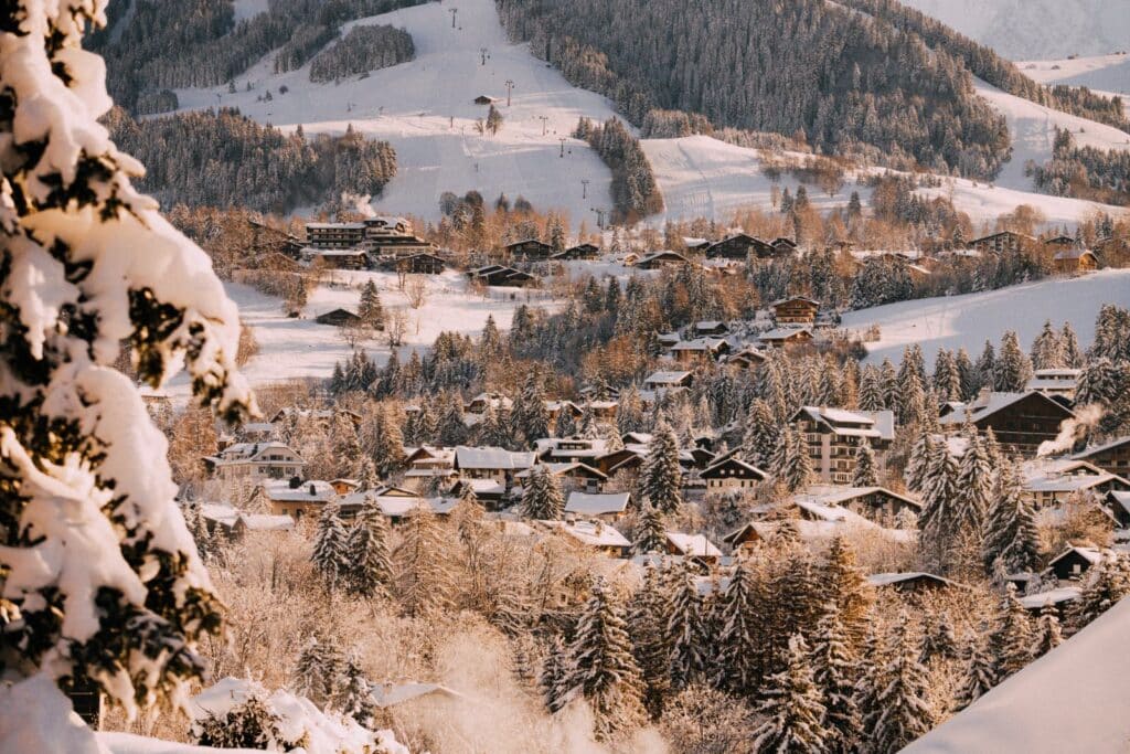 lyon entreprises tourisme haute savoie