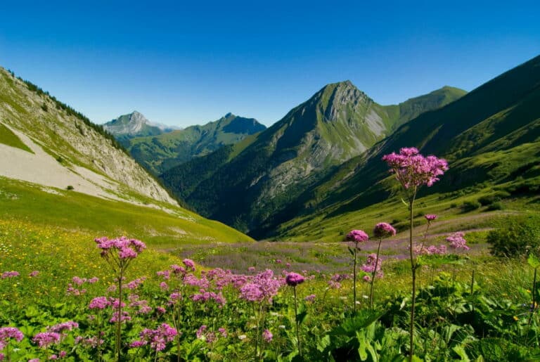 lyon entreprise montagne cluster