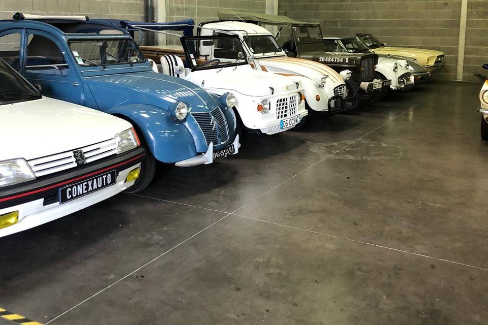 lyon entreprises conexauto