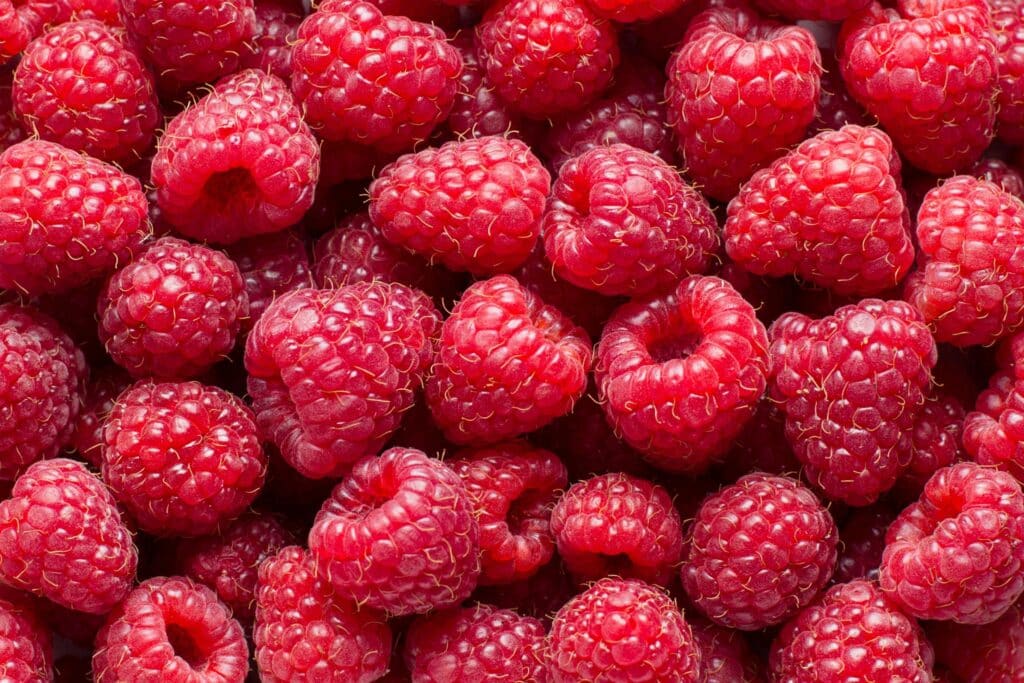 lyon entreprises framboises françaises