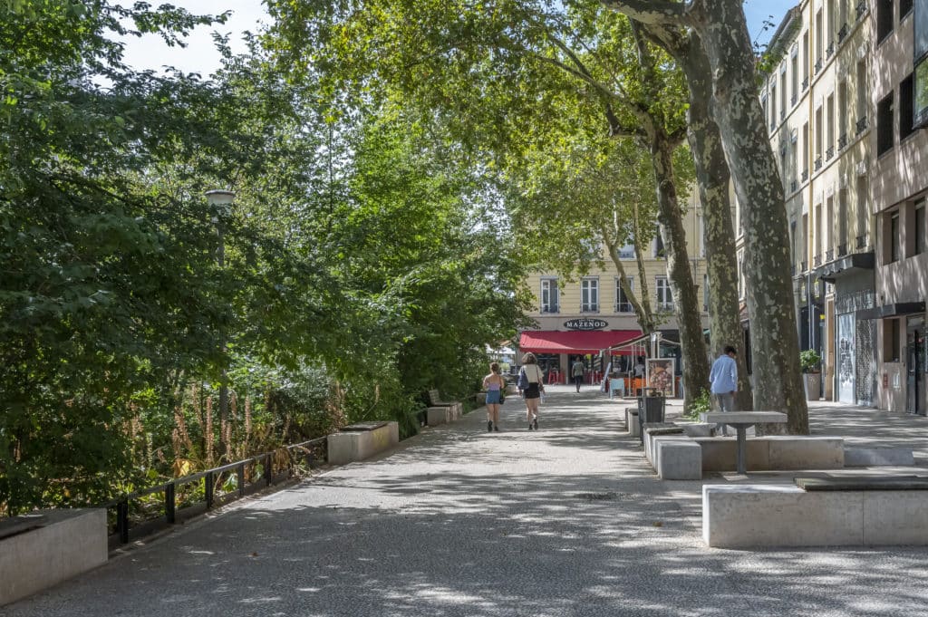 lyon entreprises métropole de lyon arbres particuliers