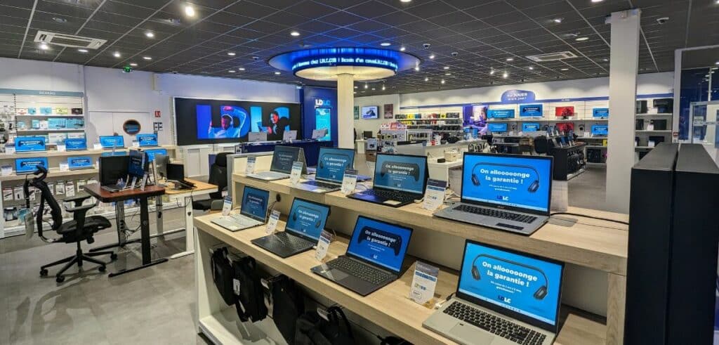 lyon entreprises ldlc