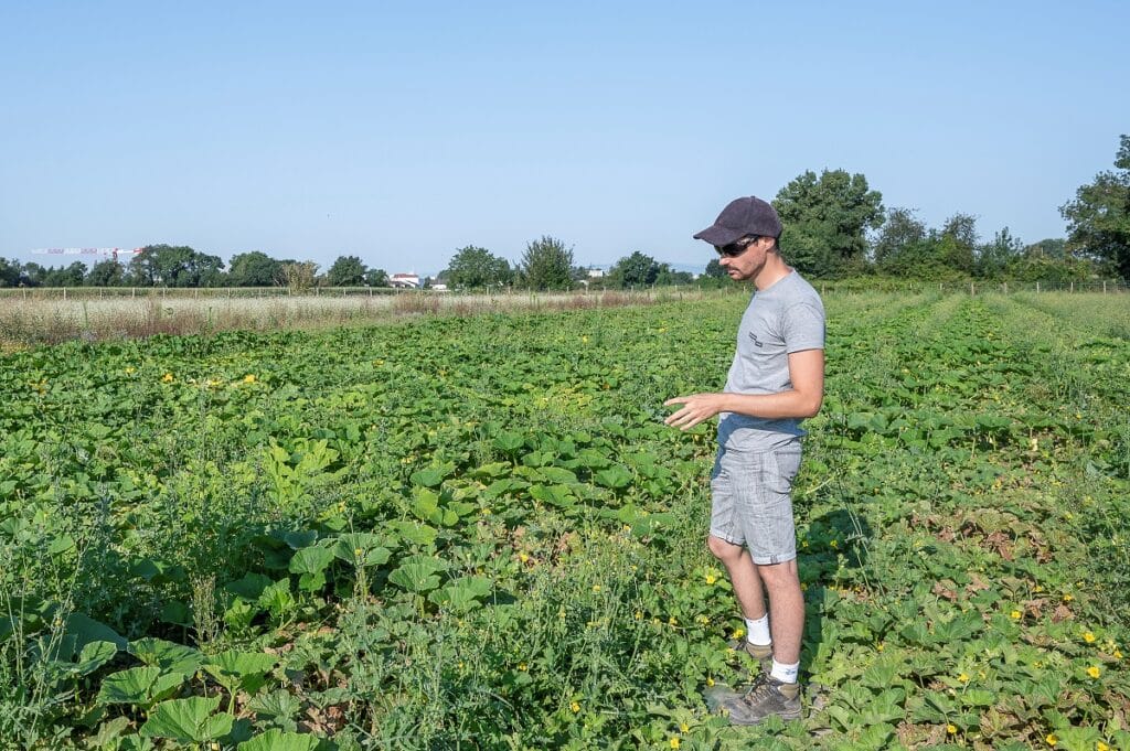 Vaulx en Velin, incubateur agricole pour du maraîchage biologiq