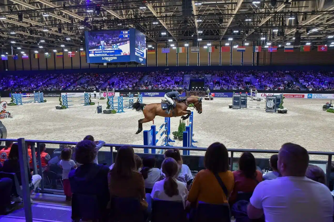 Des semelles biodégradables pour chevaux : une petite révolution dans le monde équestre