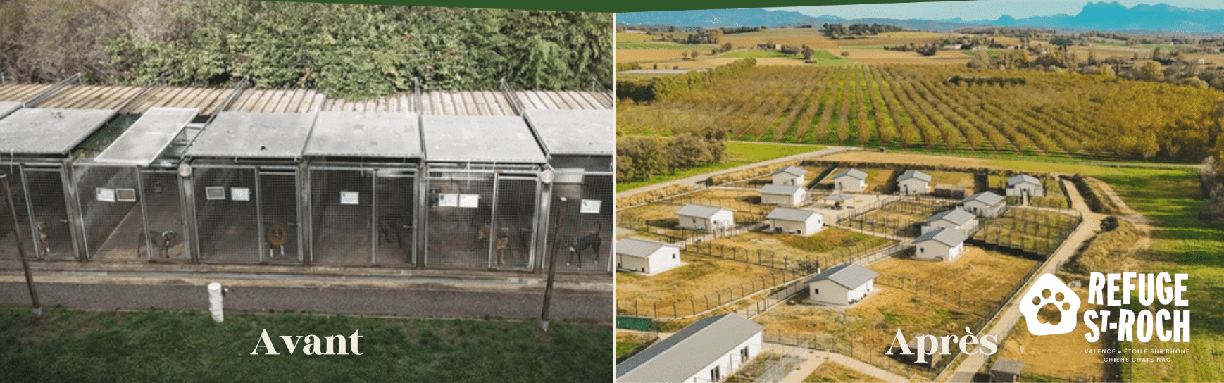 lyon entreprises refuge