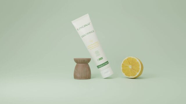 lyon entreprises ginginat