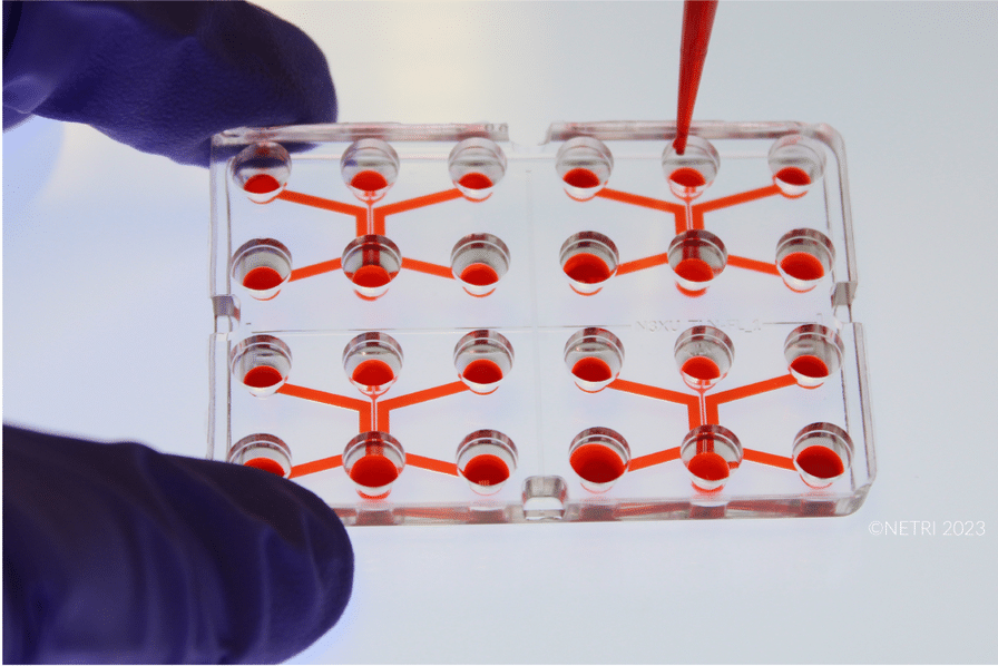 lyon entreprises livre blanc