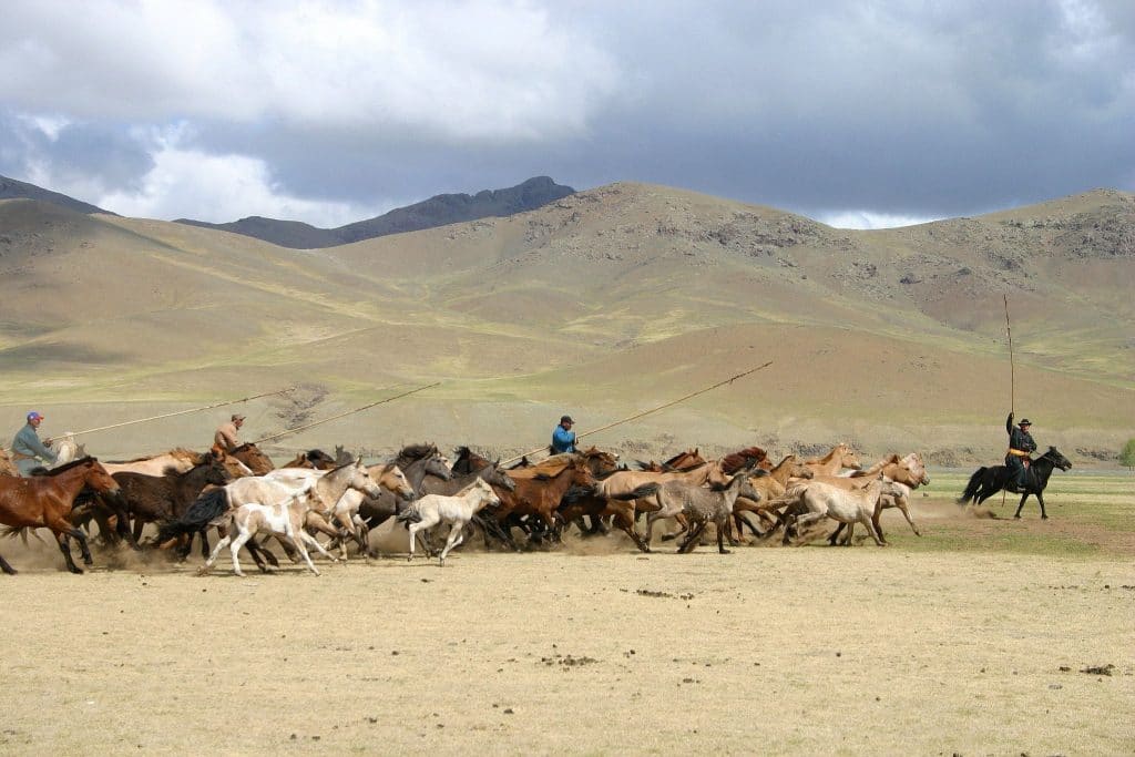 29 dates de voyages garanties cet été pour Rando Cheval Mongolie