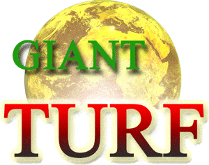 A lire Giant Turf : La Bible du Turfiste pour jouer au PMU !