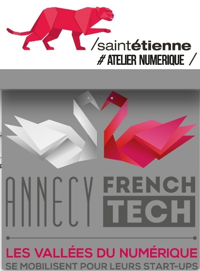 Après Lyon et Grenoble, Saint-Etienne et Annecy labellisées à leur tour French Tech en juin ?