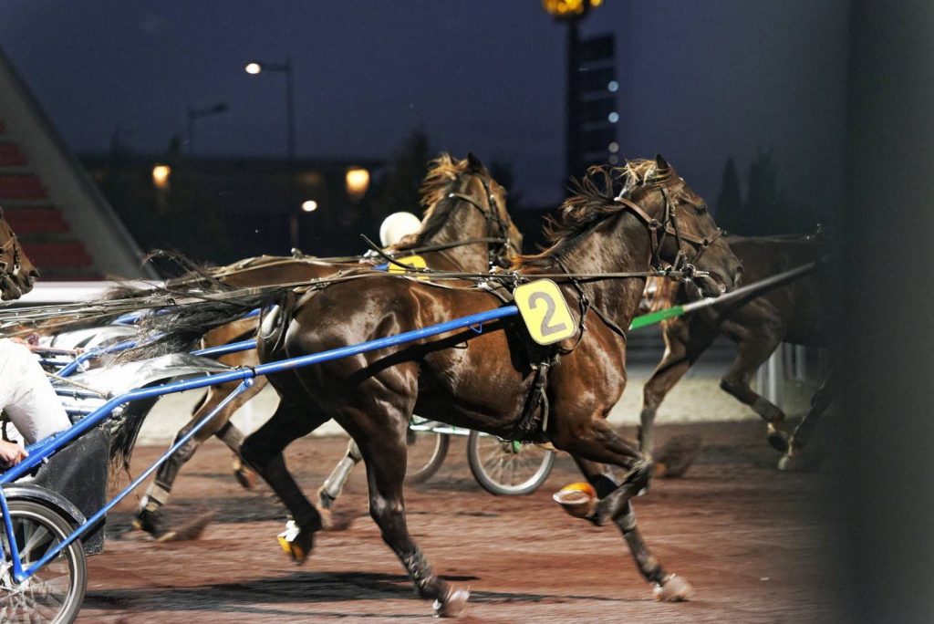 Aux managers à la recherche d’une salle prestigieuse, Lyon répond « Soirée V’Hip » aux Hippodromes de Lyon by Carré Ovale