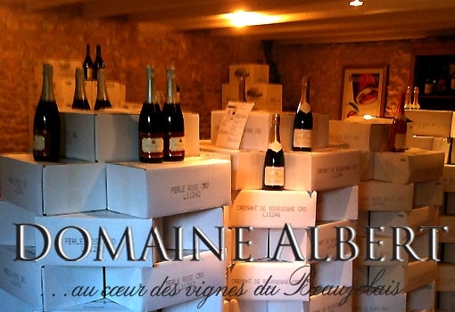 Beaujolais rouges, blancs, rosés en direct du Domaine