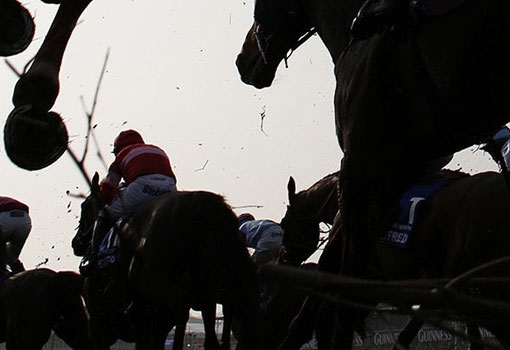 Carré Ovale met l’entreprise entre au cœur des hippodromes