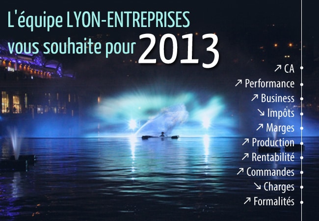 Voeux 2013 Lyon-Entreprises : illuminations bassin nautique de La Confluence 2012  