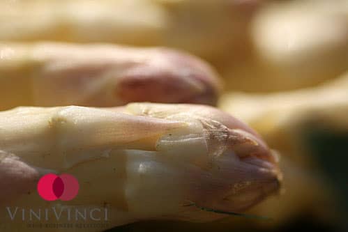 Conseil de sommelier : asperges blanches à la sauce mousseline et Torontès Alamos (Argentine) 2011
