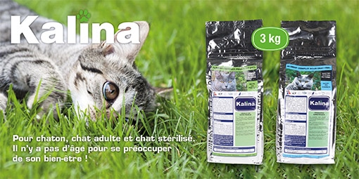 Croquettes Premium pour chats