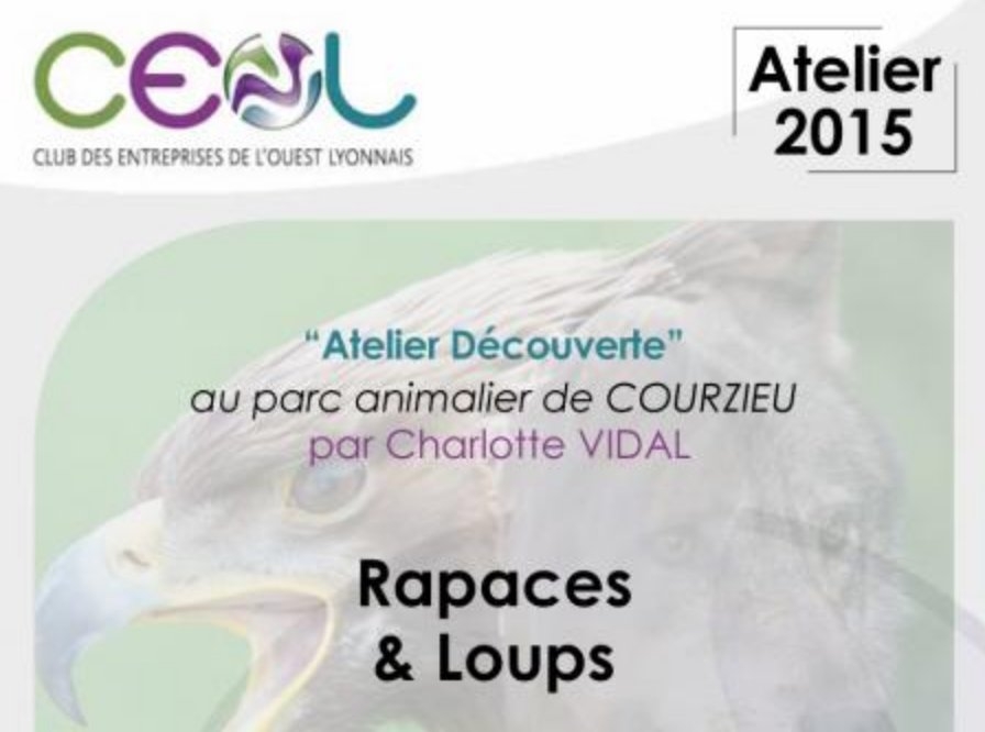 Des loups et des aigles se sont invités au dernier atelier CEOL du 9 juin 2015