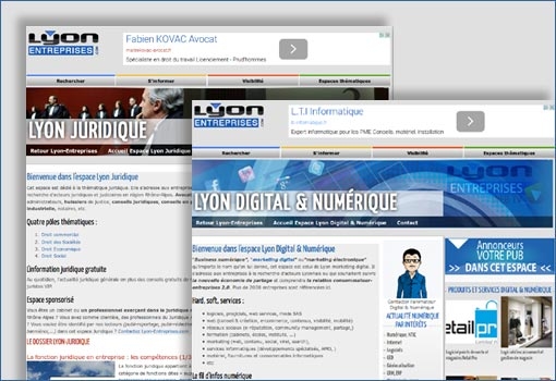 Deux nouveaux espaces thématiques sur Lyon-Entreprises.com