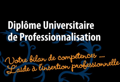 Diplôme Universitaire de Professionnalisation à l’IUT de Lyon 3