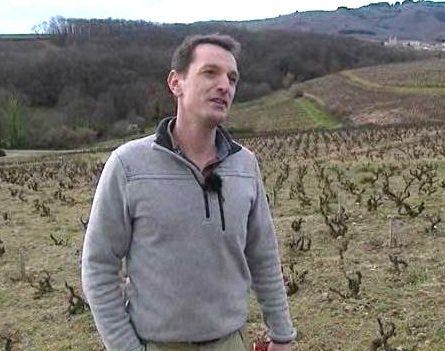 Distinction : un viticulteur bio du Beaujolais sacré « Découverte de l’année »