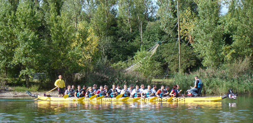 Activité de Dragon Boat pour des courses en équipes