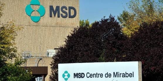 Fabrication de médicaments : l’Ardéchois Fareva en négociation exclusives pour la reprise de l’usine MSD