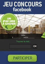 Affichage du Jeu locabri page Facebook