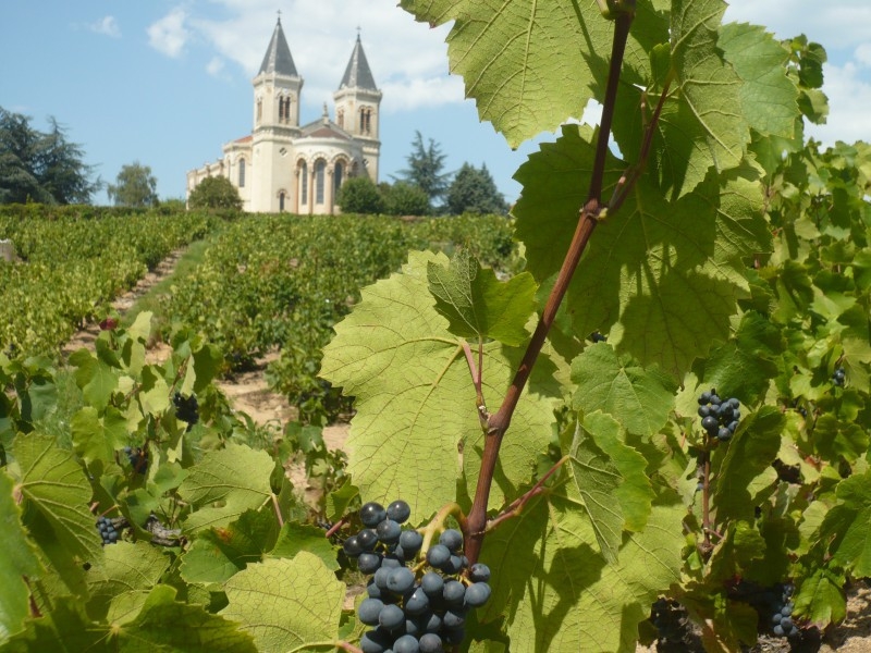 La Fête des crus se déroulera cette année à Régnié Durette