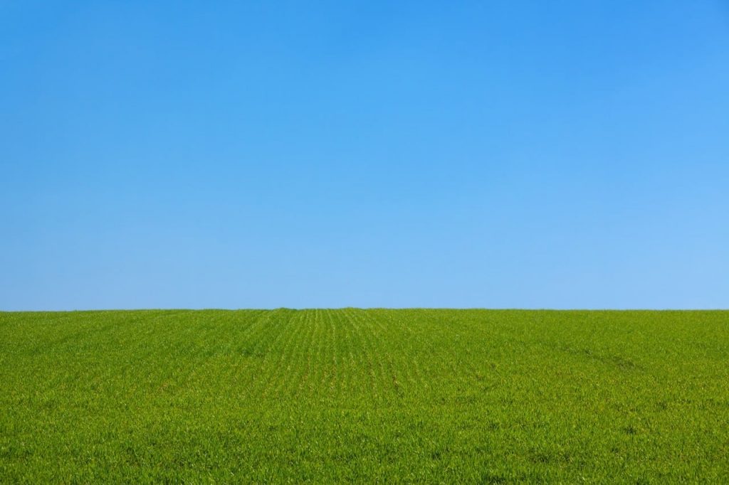 Quand l’agriculture française se met au numérique