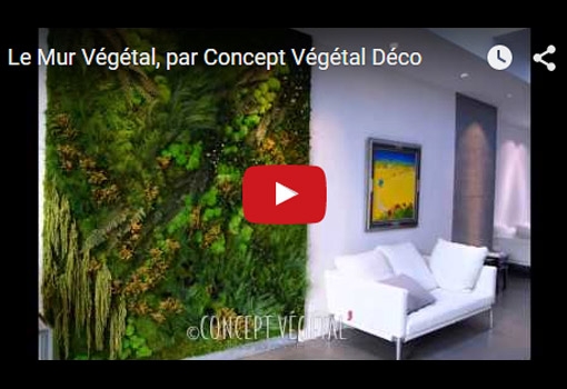 Le Mur Végétal pour un accueil tendance, nature et verdoyant