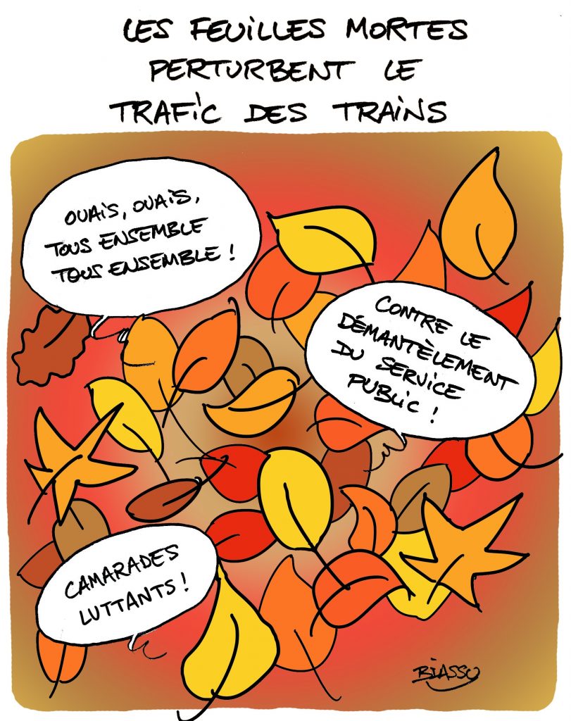Le paradoxe du beaujolais