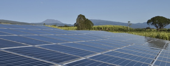 Le pôle de compétitivité Tenerrdis à la pointe de la défense de la filière photovoltaïque