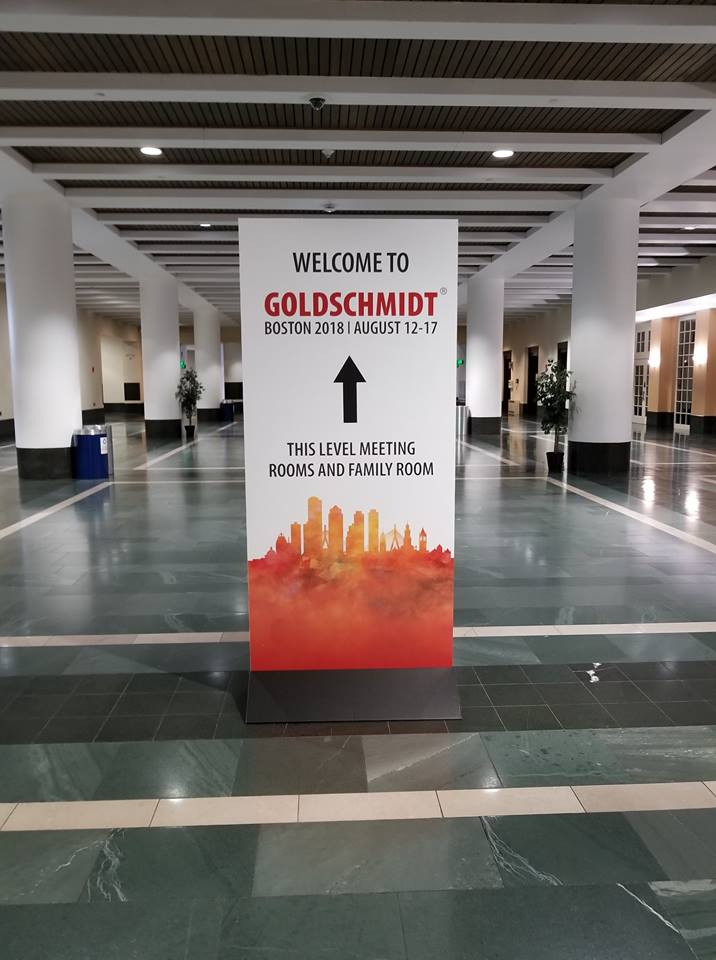 Le record de participants à un congrès à Lyon pourrait bien être