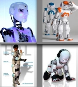 Le salon Innorobo pourrait aussi s’intéresser à l’avenir aux robots professionnels et industriels